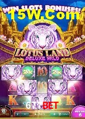 Experiência VIP 677Bet